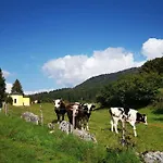 Bed & Breakfast Larici Roana