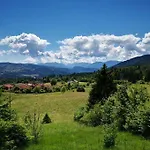 Larici