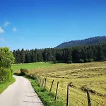 Larici 3* Roana