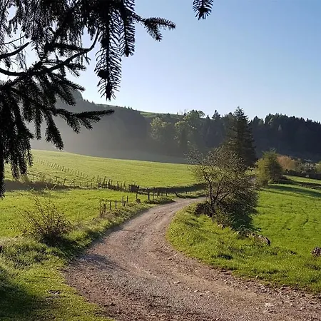 Larici Роана