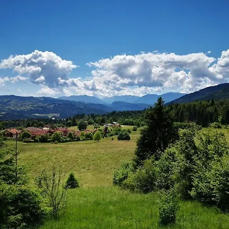 Larici
