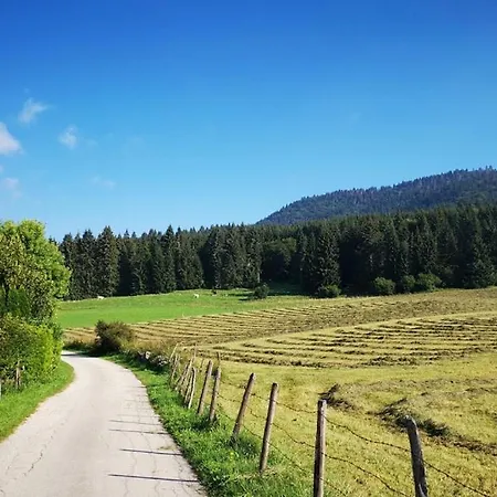 Larici 3* Роана